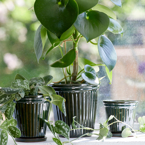 Birthe Dark Green Hand Glazed Pot