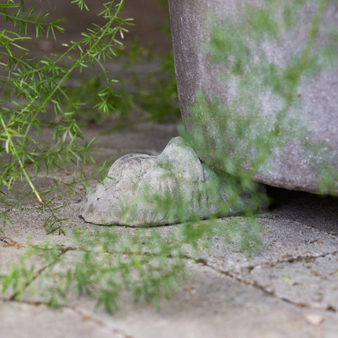 Lion Foot Choko Plant Pot Riser
