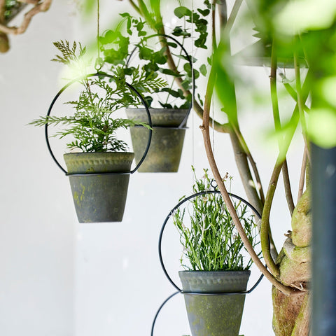 Svea Black Hanging Pot Holder