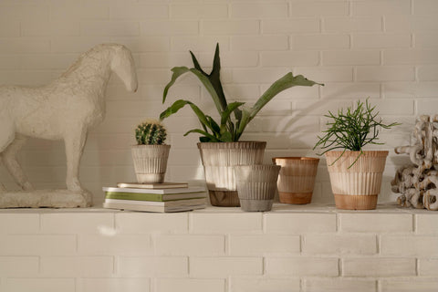 The Atlas Pot