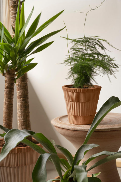 The Atlas Pot
