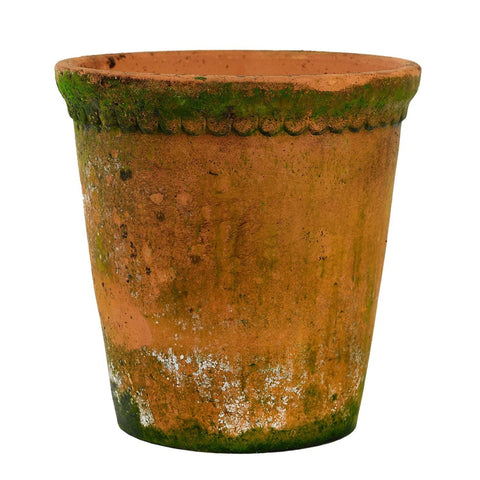 Lacepot
