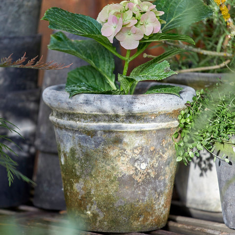 Grethe Choko Patinated Terracotta Pot