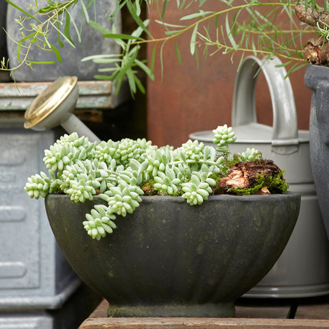 Frida Choko Patinated Terracotta Pot