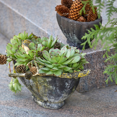 Frida Choko Patinated Terracotta Pot