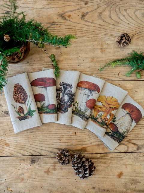 Set of 6 Linen Napkins