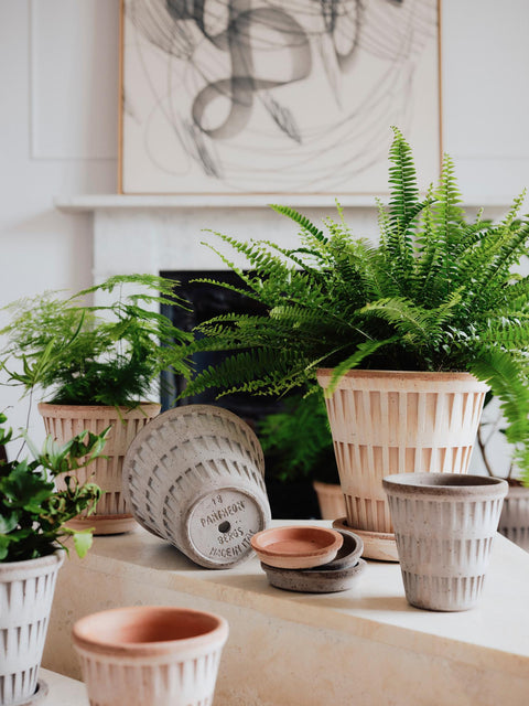 The Pantheon Pot & Saucer