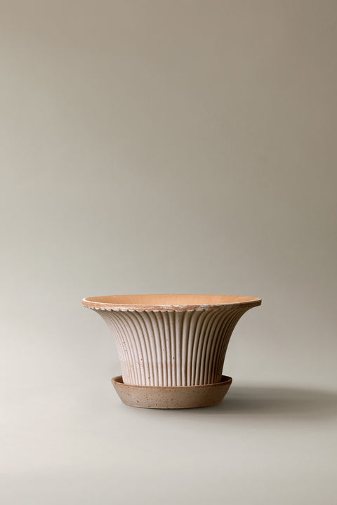 Daisy Pot & Saucer