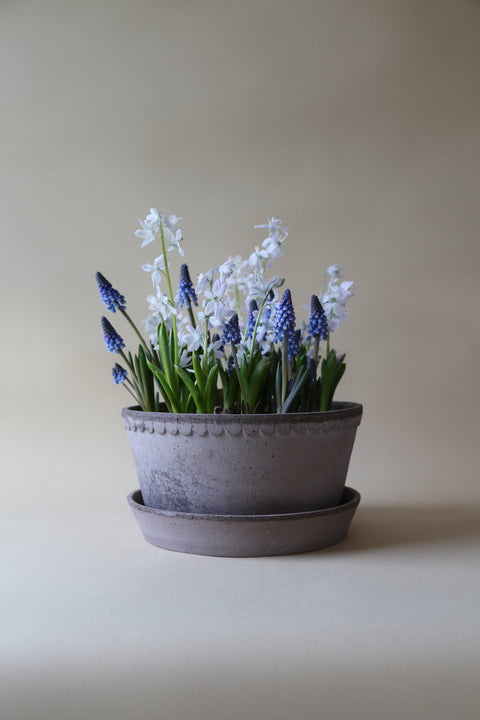 Helena Low Pot & Saucer