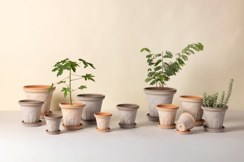 Fleur Pot and Saucer