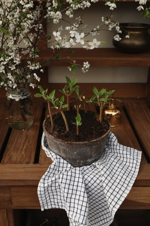 Helena Low Pot & Saucer