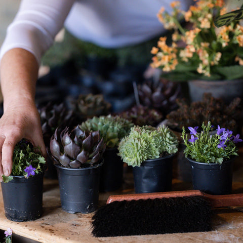 Garden Hand Brush